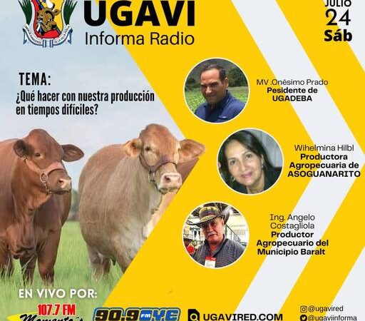 UGAVI INFORMA 24-07-2021