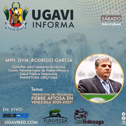 UGAVI INFORMA 04-12-2021