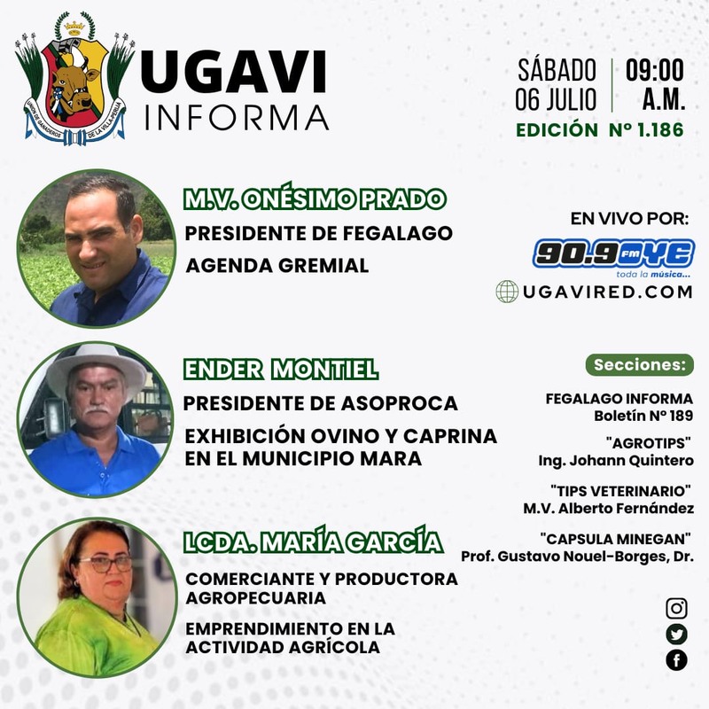 UGAVI INFORMA 06-07-24